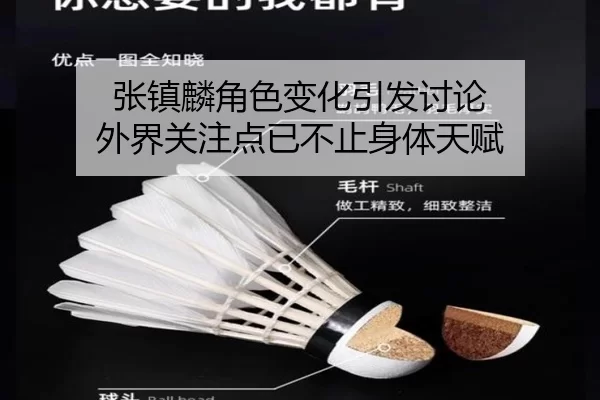 zhang-zhen-lin-jue-se-bian-hua-yin-fa-tao-lun-wai-jie-guan-zhu-dian-yi-bu-zhi-shen-ti-tian-fu-2-284.jpg
